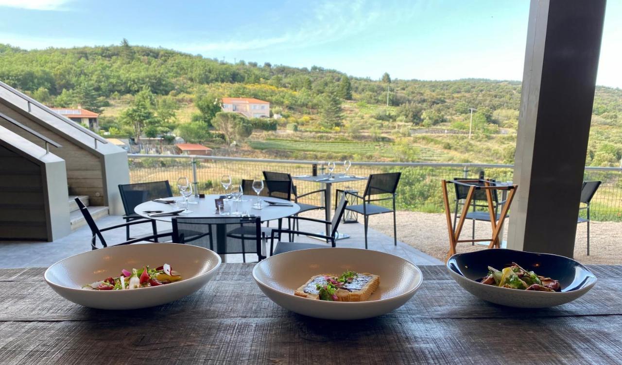 Domaine Riberach - Restaurant Etoile - Spa - Piscine Naturelle - Vignoble Bio Bélesta Dış mekan fotoğraf